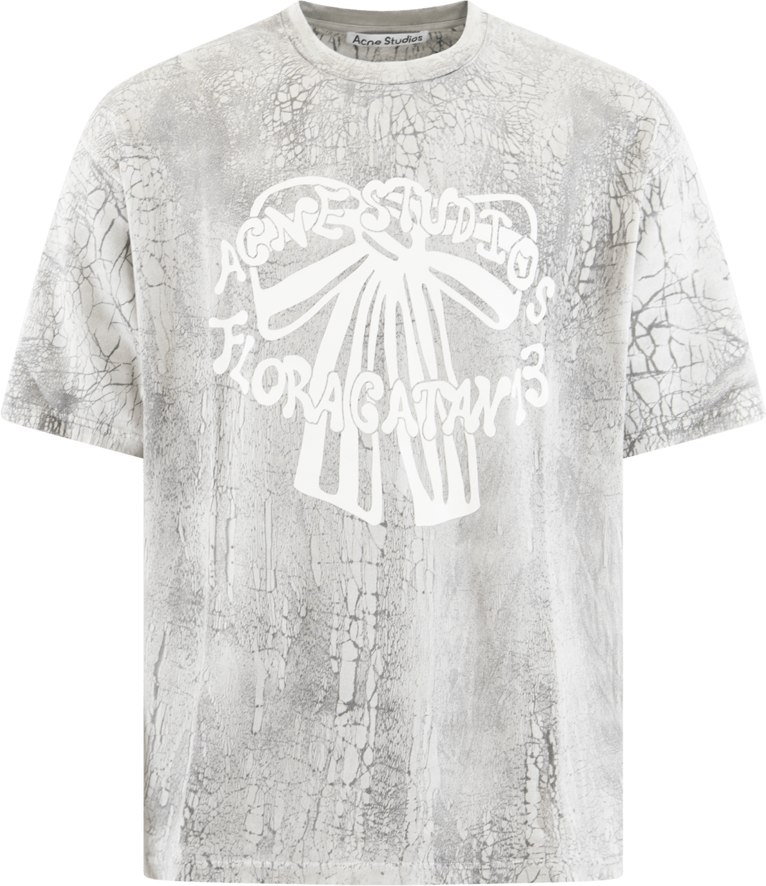 Acne Studios Heren Acne T-Shirts Grijs