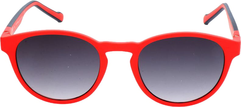 Adidas Multicolor Acetate Sunglasses Divers
