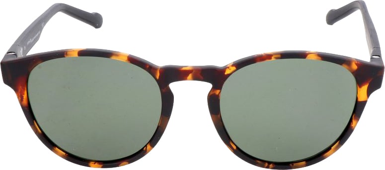 Adidas Bicolor Acetate Sunglasses Divers