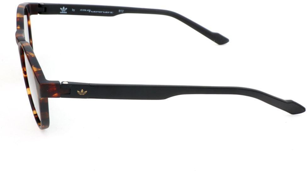 Adidas Bicolor Acetate Sunglasses Divers