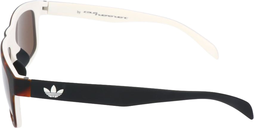 Adidas Bicolor Acetate Sunglasses Divers