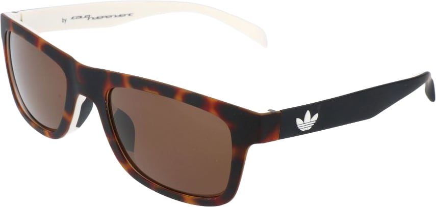 Adidas Bicolor Acetate Sunglasses Divers