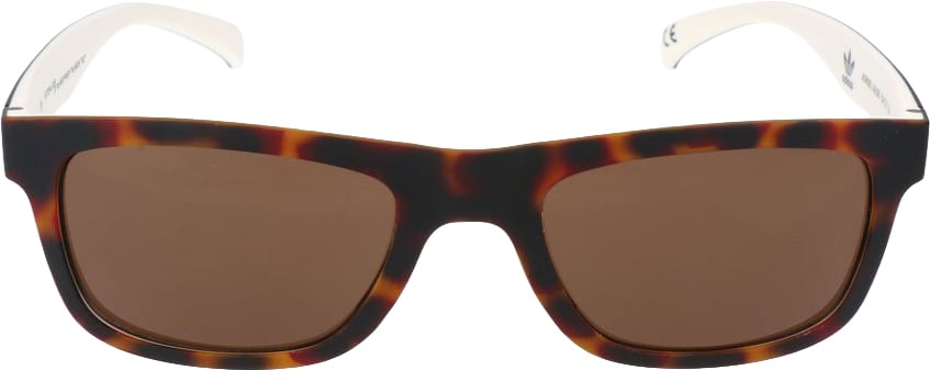 Adidas Bicolor Acetate Sunglasses Divers