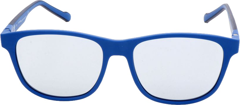Adidas Blue Acetate Sunglasses Blauw