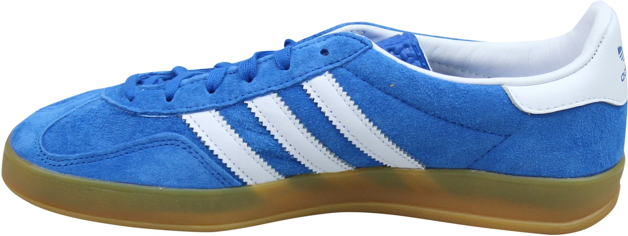 Adidas Adidas Gazelle Indoor Blue Bird Blauw