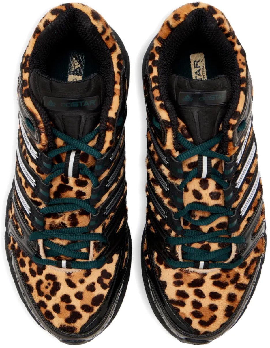 Adidas Adistar Control 5 W Aurivy/cblack/silvmt Zwart