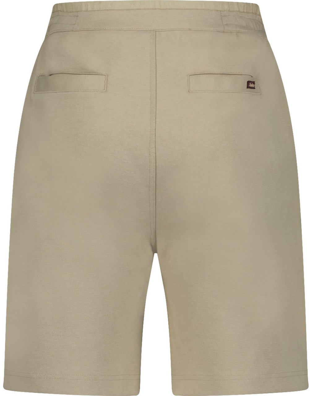 Aeden Heren Korte Broek Bruin