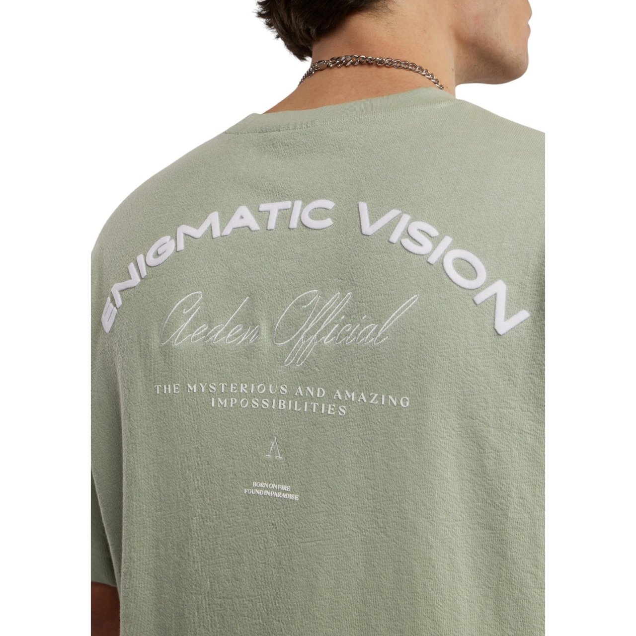 Aeden Heren T-Shirt Groen