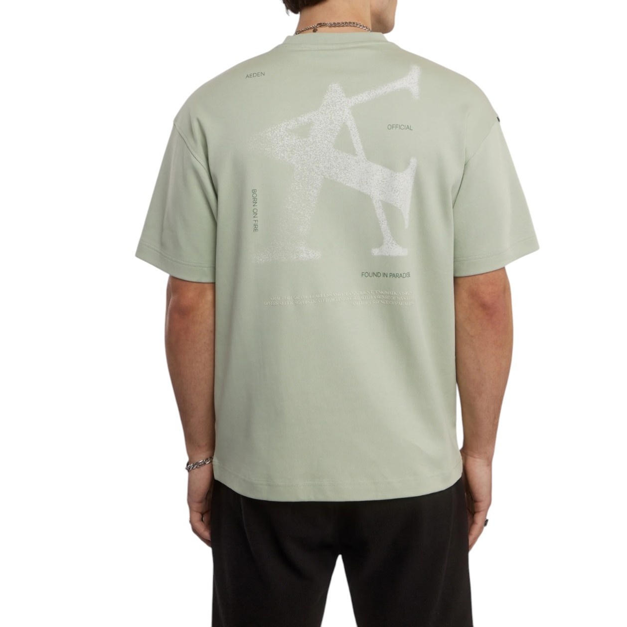 Aeden Heren T-Shirt Groen