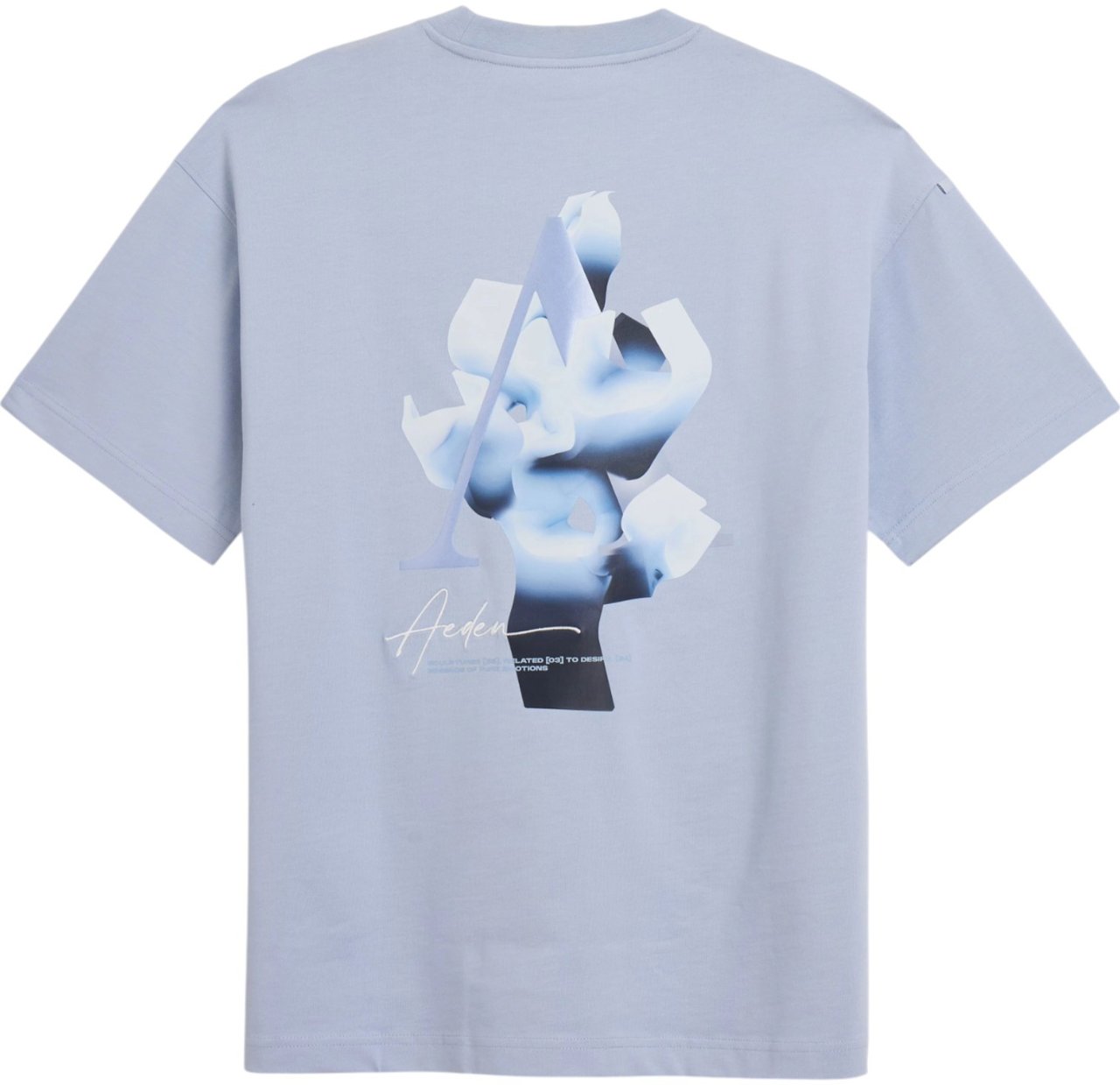 Aeden Heren T-Shirt Blauw