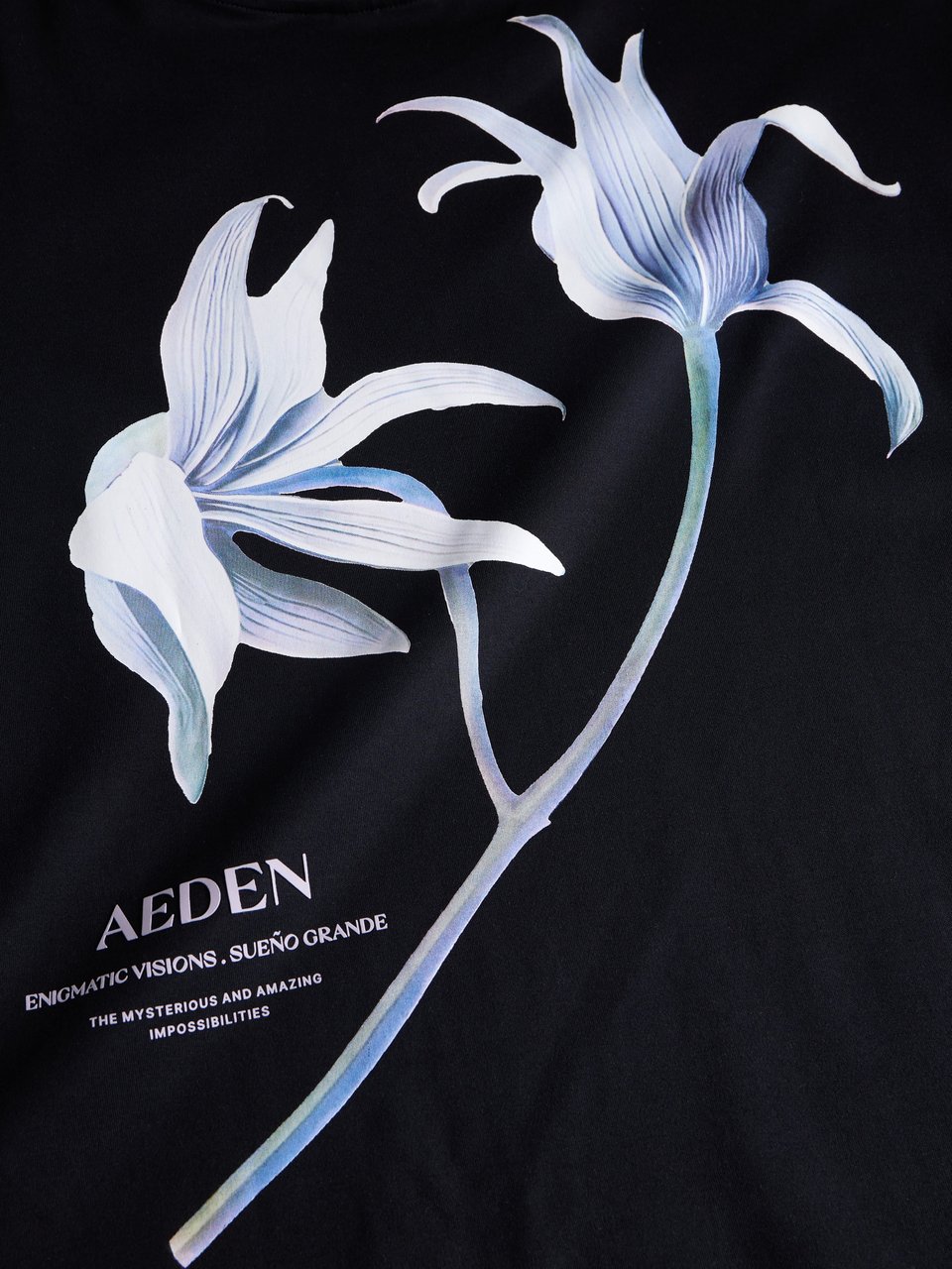 Aeden Heren T-Shirt Zwart