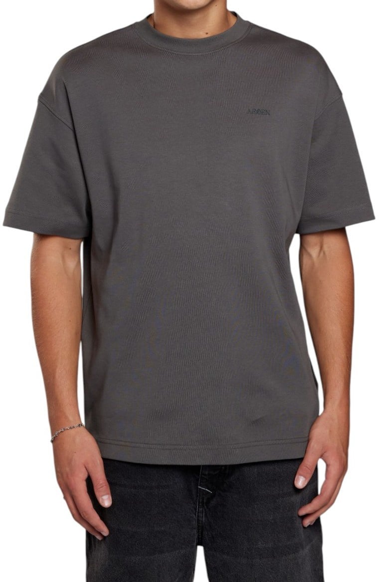 Aeden Heren T-shirt Grijs