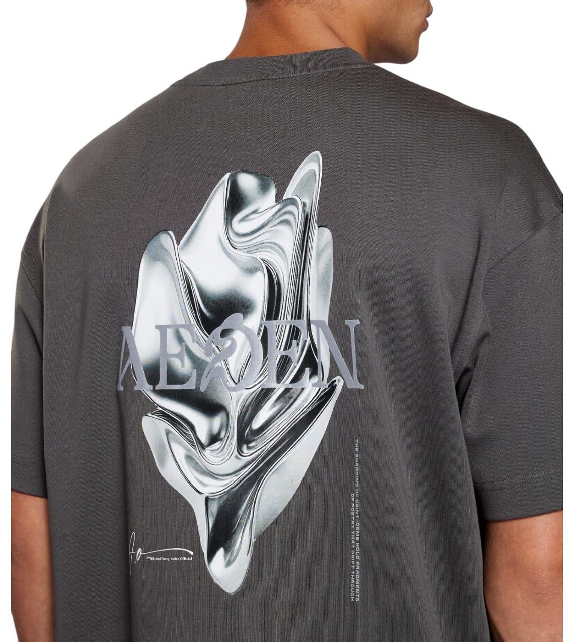 Aeden Heren T-shirt Grijs