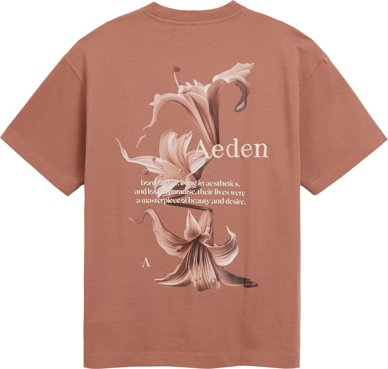 Aeden Ezio Tee Mocha Mousse Bruin