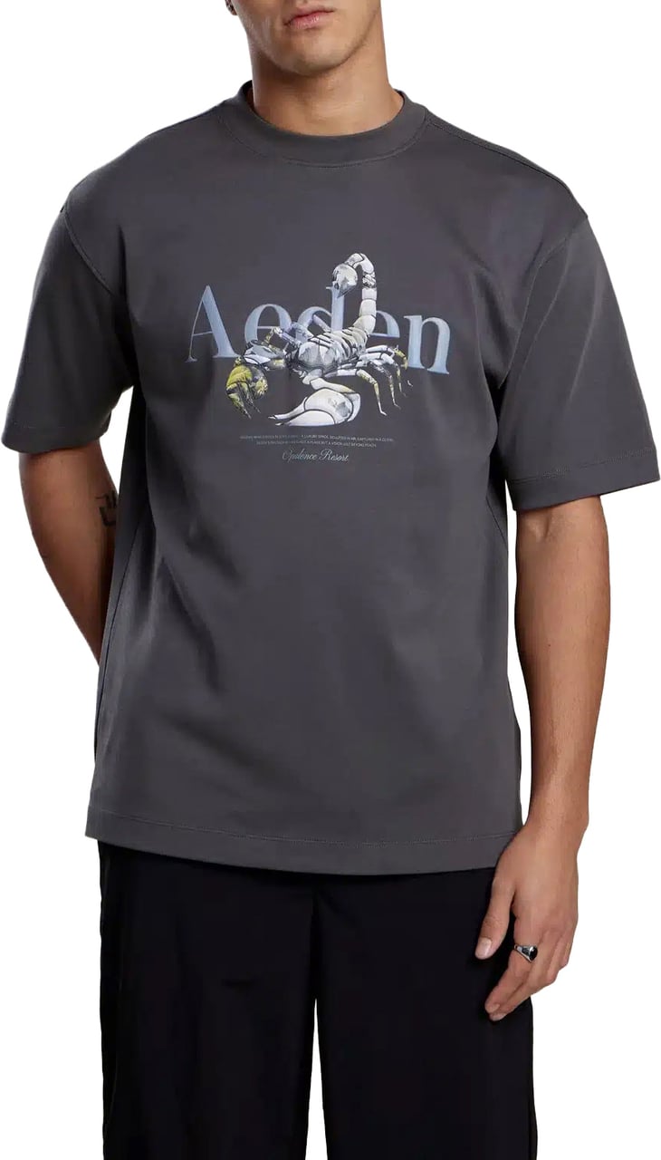Aeden Maxton Tee Dark Shadow Grijs