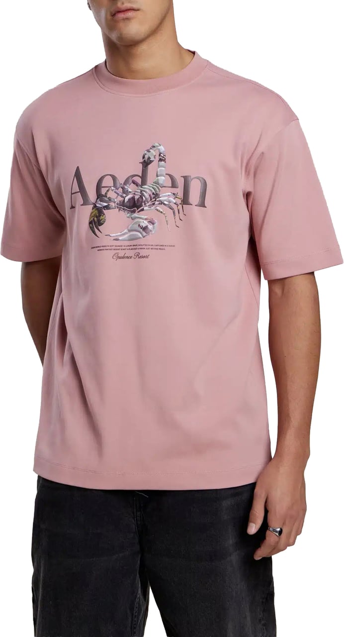Aeden Maxton Tee Ash Rose Roze