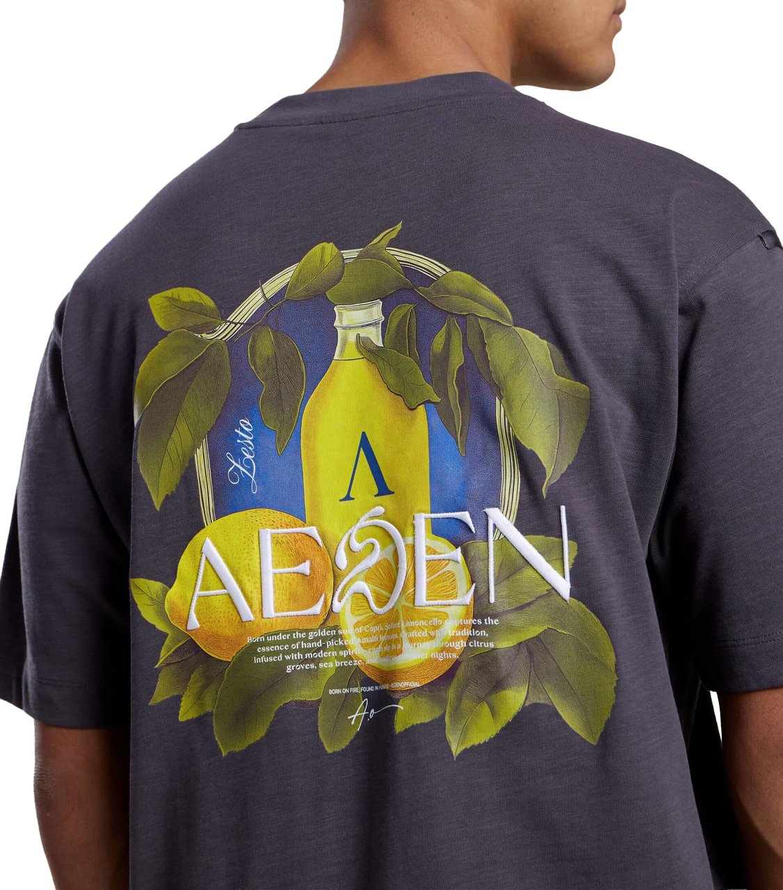 Aeden Ezion Tee Dark Shadow Grijs