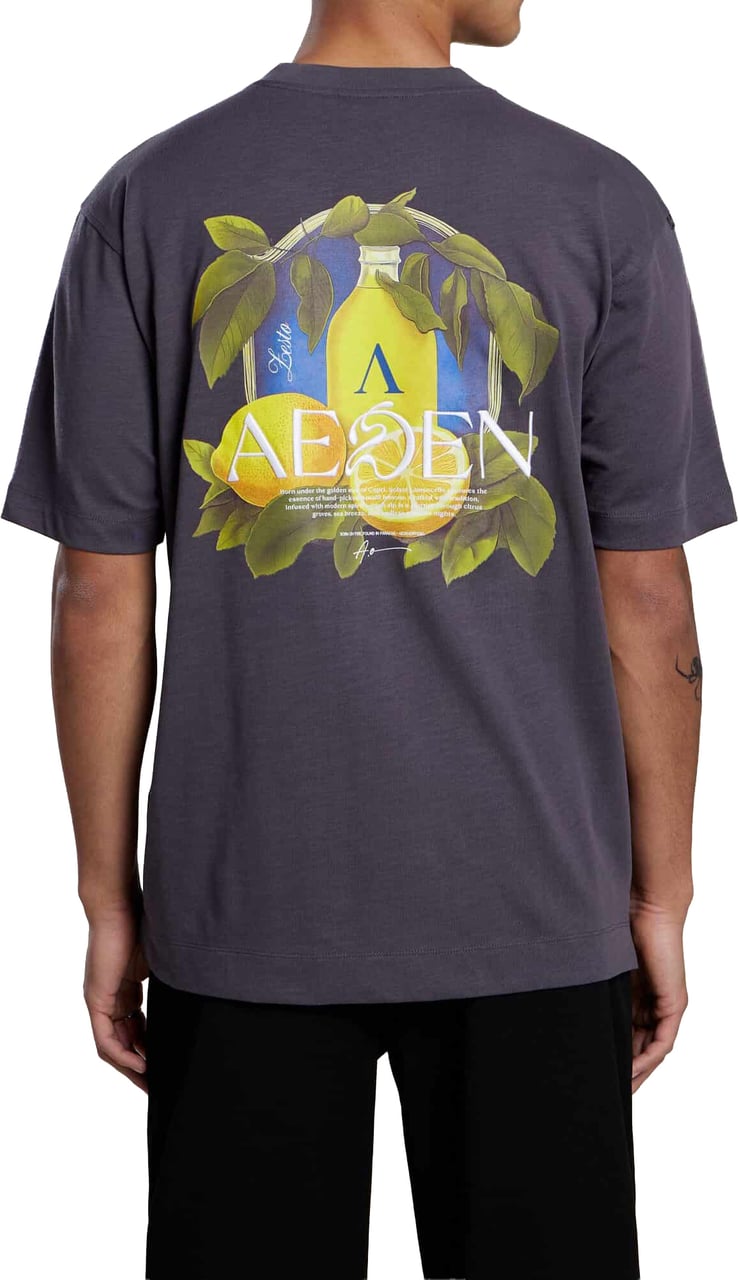 Aeden Ezion Tee Dark Shadow Grijs