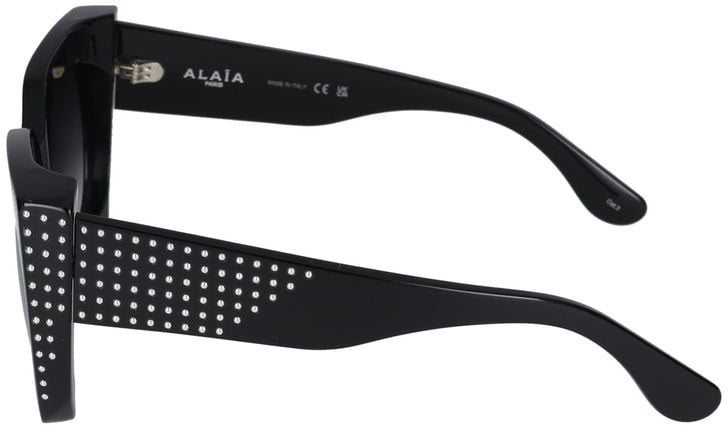 Alaïa Sunglasses Azzedine Alaia AA0062S 001 black black grey 54/20/140 Grijs
