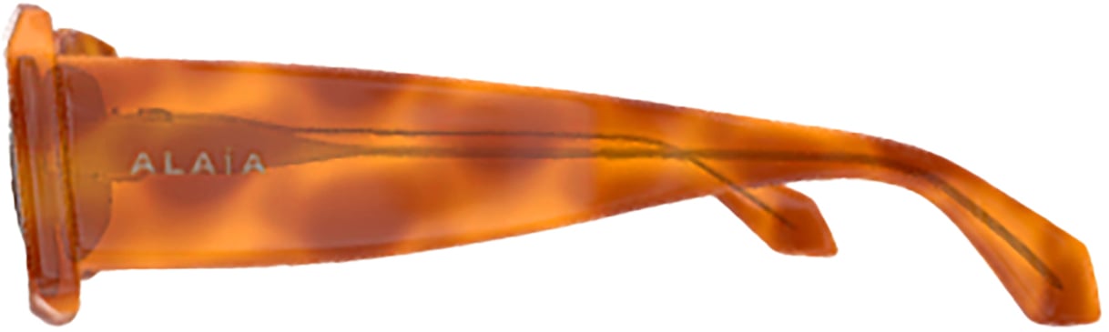 Alaïa Azzedine Alaïa AA0078S Bruin