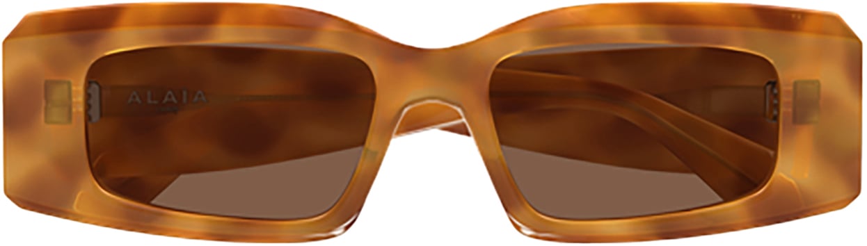 Alaïa Azzedine Alaïa AA0078S Bruin