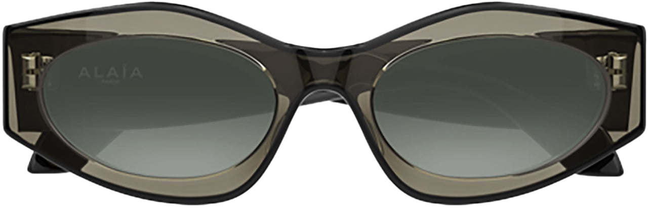 Alaïa Azzedine Alaïa AA0093S Bruin