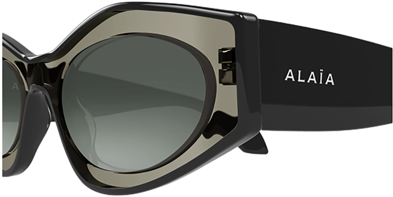 Alaïa Azzedine Alaïa AA0093S Bruin