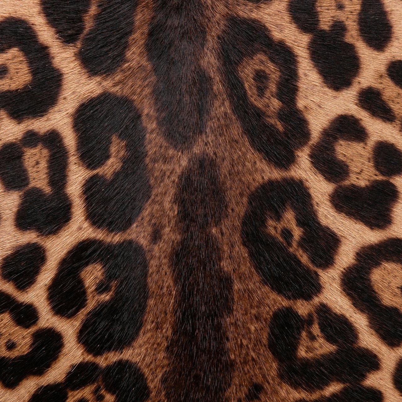 Alaïa Pony Hair and Leather Leopard Printed Le Hinge Tote Bruin