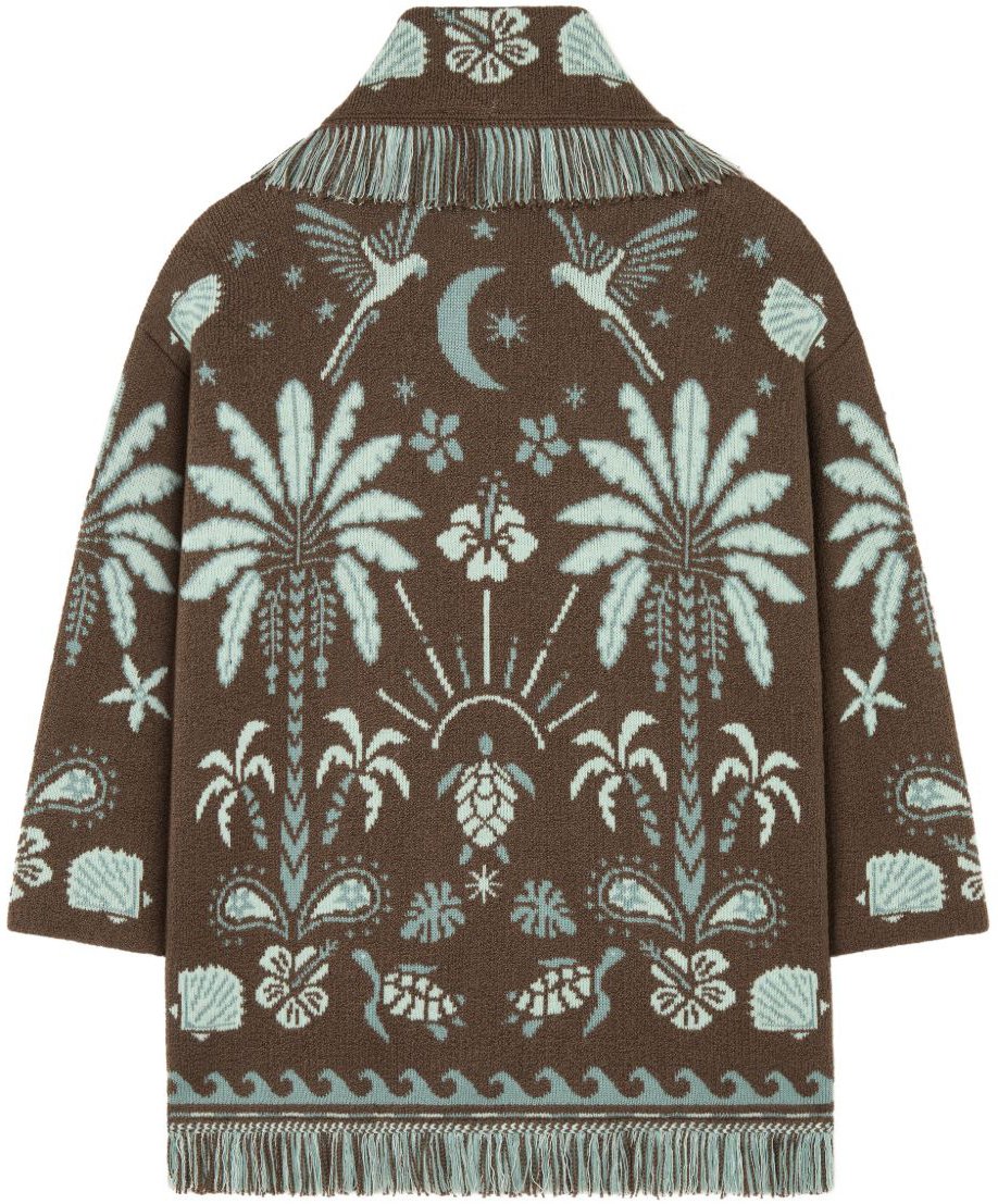 Alanui Sweaters Brown Bruin