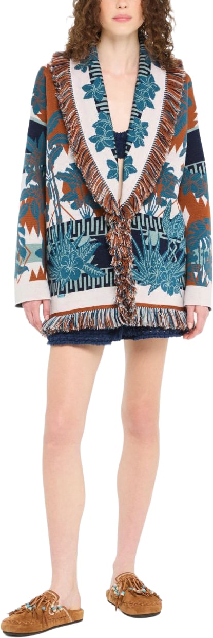 Alanui Sweaters Multicolor Divers