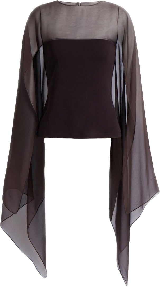 Alberta Ferretti Shirts Brown Bruin