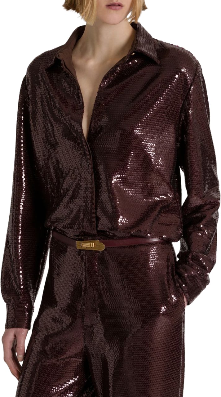 Alberta Ferretti Shirts Brown Bruin