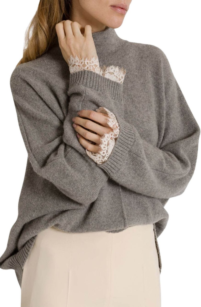Alberta Ferretti Sweaters Grey Taupe