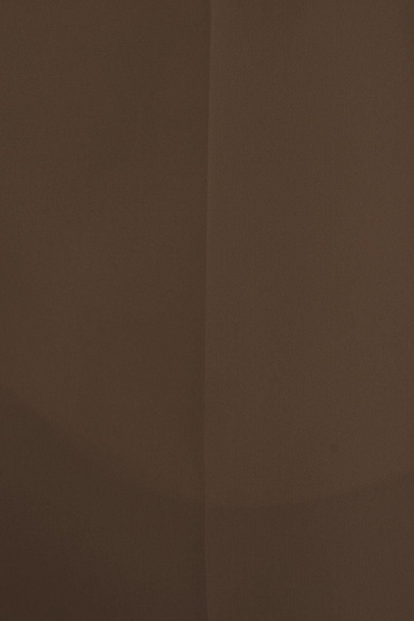 Alberta Ferretti Alberta Ferretti Brown silk pant Bruin