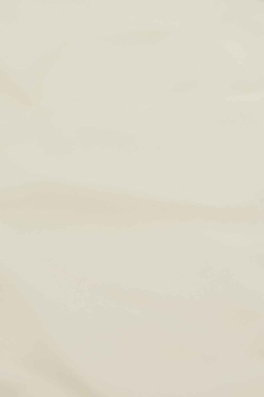 Alberta Ferretti Alberta Ferretti Chalk viscose foulard Neutraal