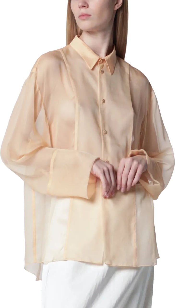 Alberta Ferretti Sheer Long-Sleeved Blouse with Classic Collar and Relaxed Silhouette Neutraal
