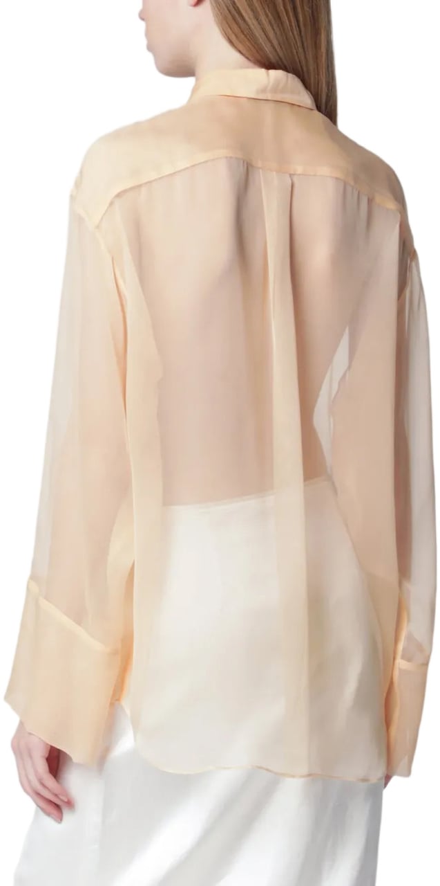 Alberta Ferretti Sheer Long-Sleeved Blouse with Classic Collar and Relaxed Silhouette Neutraal