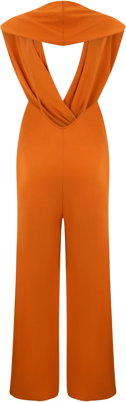 Alberta Ferretti Jumpsuit with neckline Oranje