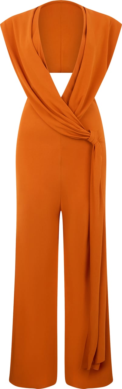 Alberta Ferretti Jumpsuit with neckline Oranje