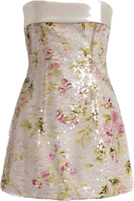 Alberta Ferretti Dresses Divers Divers