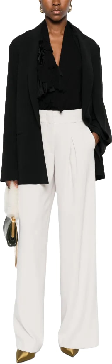 Alberta Ferretti Structured Tailored Jacket with Minimalist Design Zwart