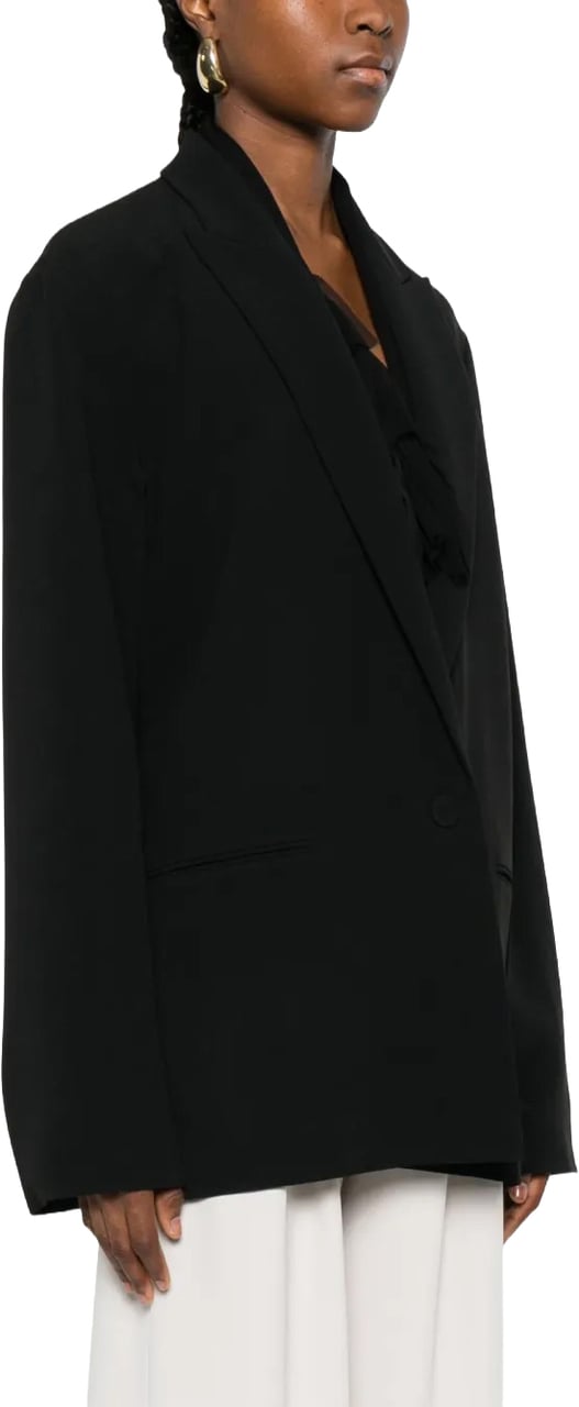 Alberta Ferretti Structured Tailored Jacket with Minimalist Design Zwart