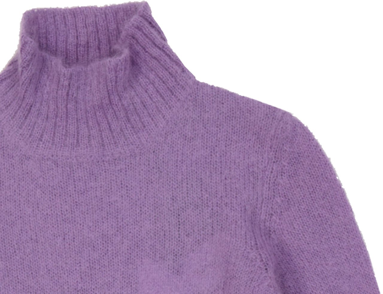 Alberta Ferretti Alberta Ferretti Mohair Sweater Paars