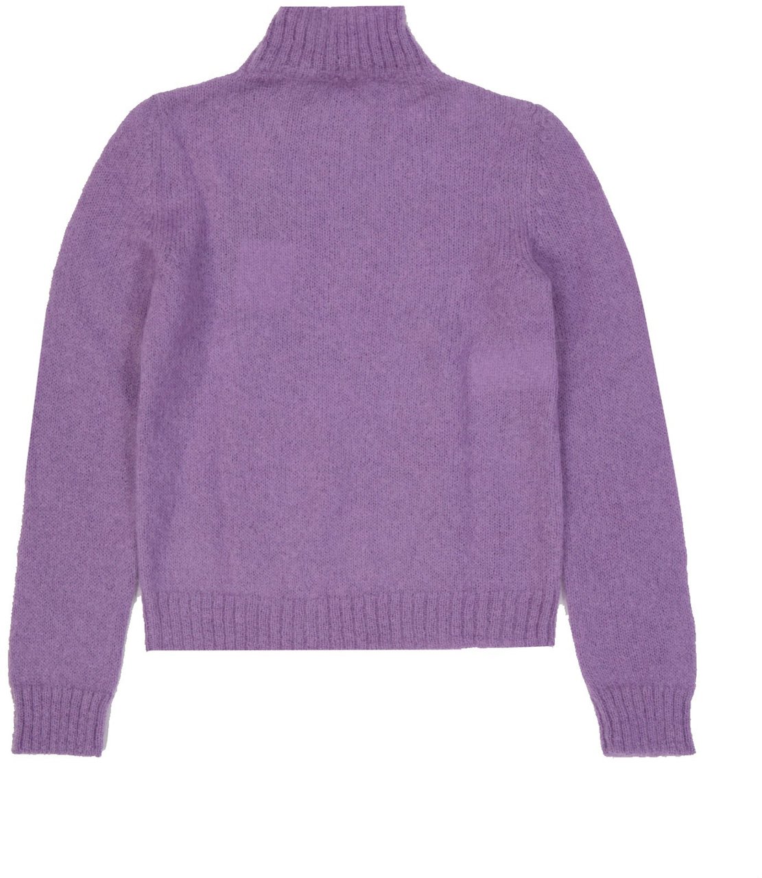 Alberta Ferretti Alberta Ferretti Mohair Sweater Paars
