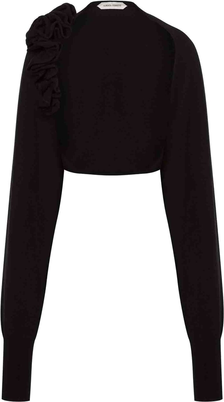 Alberta Ferretti Sweaters Black Zwart