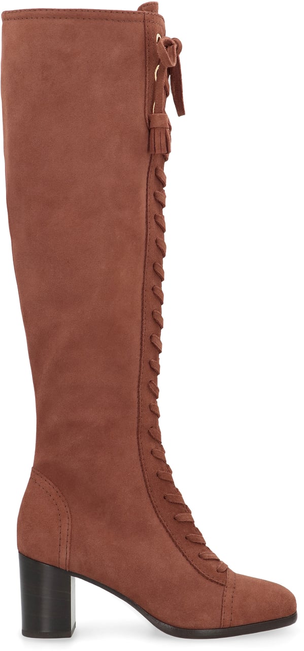 Alberta Ferretti Suede knee high boots Bruin