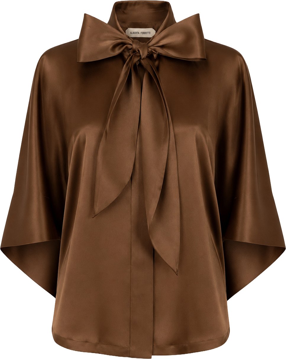 Alberta Ferretti Shirts Marrone Bruin