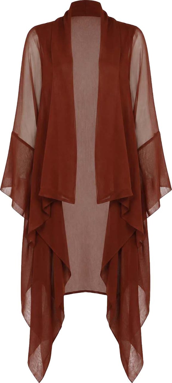 Alberta Ferretti Coats Marrone Bruin