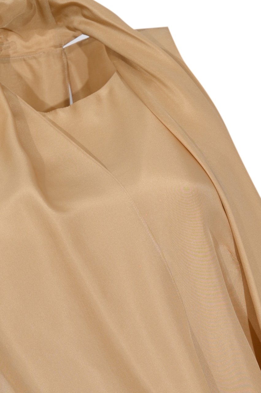 Alberta Ferretti Top Beige Beige