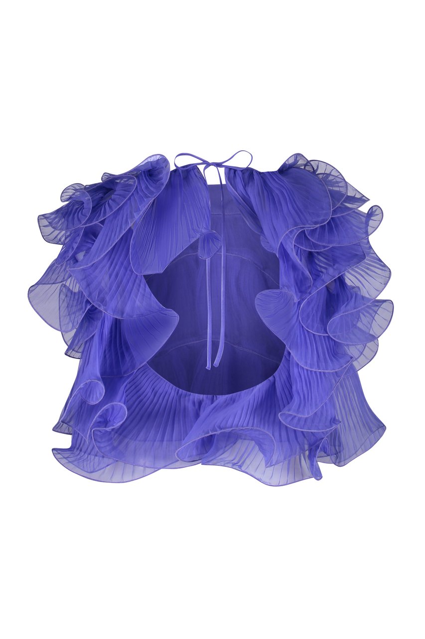 Alberta Ferretti Pleated blouse Blauw